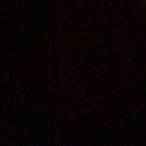 Meet your Posher, Annie